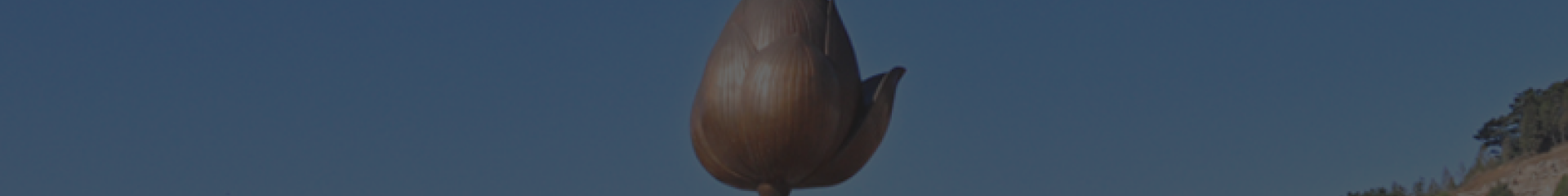 武汉仙鹤湖墓园顶部背景图