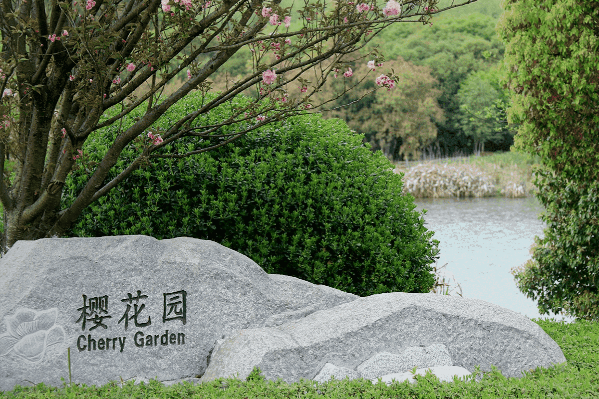仙鹤湖墓园樱花园