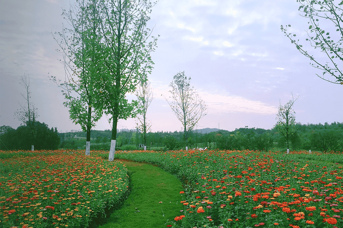 仙鹤湖墓园环境图